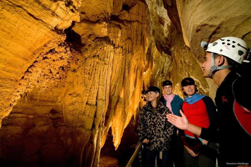 WAITOMO GLOWWORM CAVES & HAMILTON GARDENS - PRIVATE TOUR - A Day in the Life: What to Expect on this Private Tour