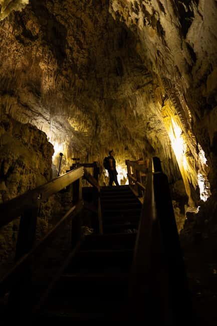 WAITOMO GLOWWORM CAVES & HAMILTON GARDENS - PRIVATE TOUR - Who Would Love This Tour?