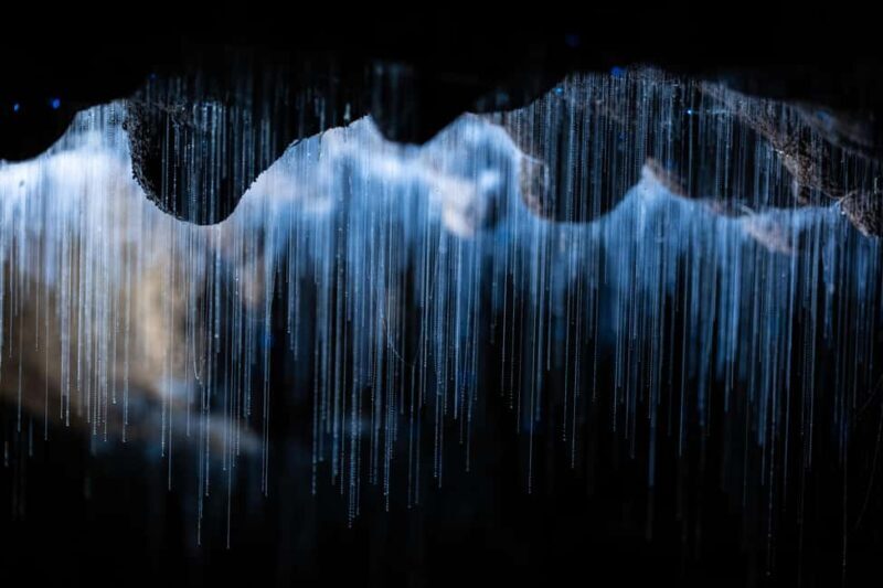 WAITOMO GLOWWORM & RUAKURI CAVES-PRIVATE TOUR FROM AUCKLAND - Who Will Enjoy This Tour?