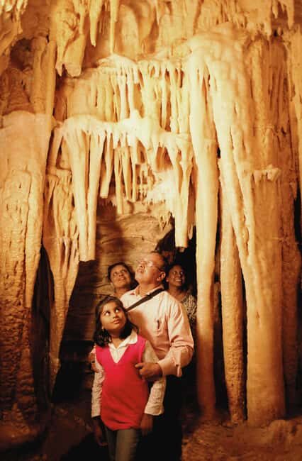 WAITOMO GLOWWORM & RUAKURI CAVES-PRIVATE TOUR FROM AUCKLAND - Summary of Key Points