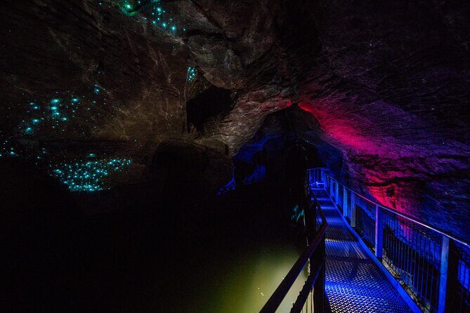 Waitomo Glowworm & Ruakuri Twin Cave - Private Tour From Auckland - Key Points