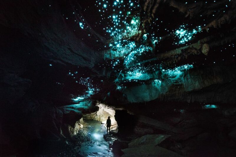 Waitomo: Guided Eco-Cave Tour - Experience the Magic of Waitomos Eco-Cave Tour