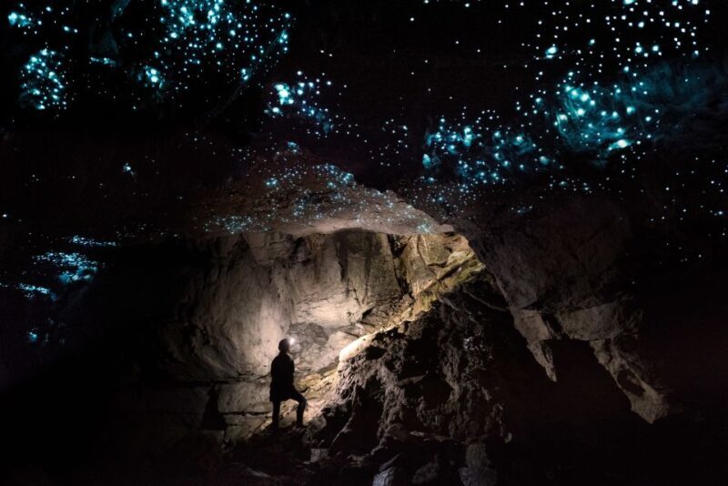 Waitomo: Guided Eco-Cave Tour - Final Thoughts