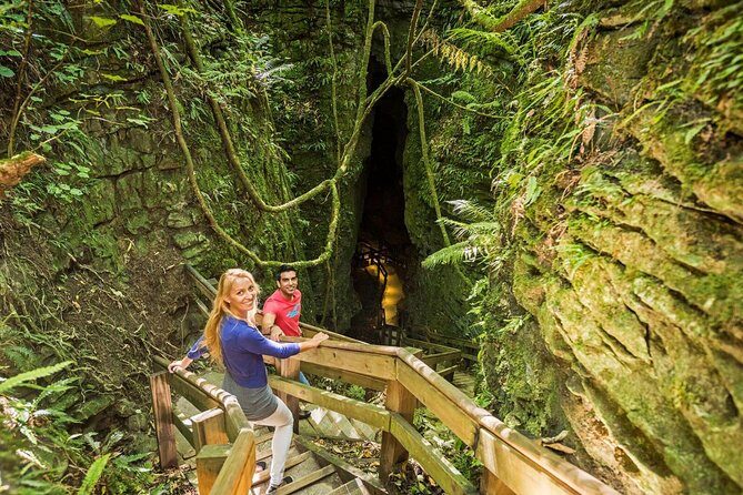 Waitomo & The King Country Exclusive Luxury Day Tour from Auckland - A Deep Dive into the Experience