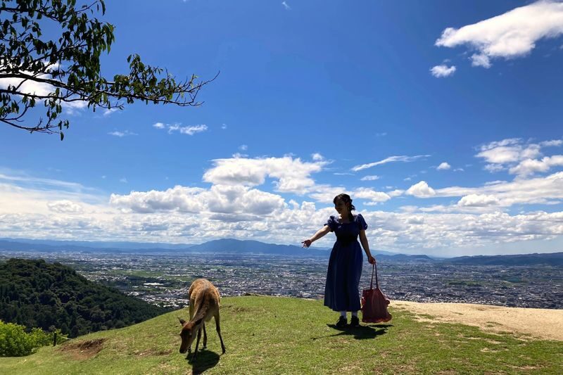 Wakakusa Hilltop Bus - A hilltop view without a long approach