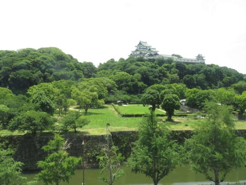 Wakayama: Castle Park Guided Walking Tour with Matcha - Wakayama: Castle Park Guided Walking Tour with Matcha