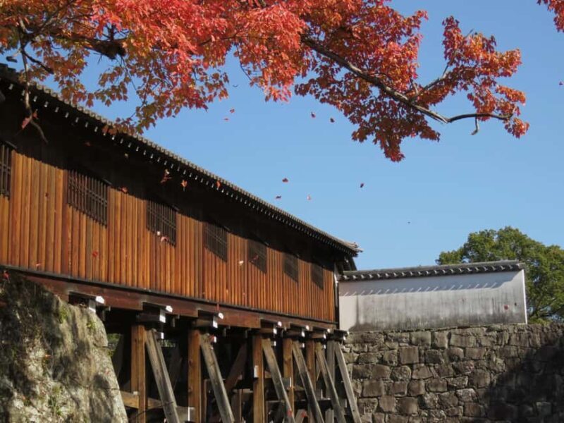 Wakayama: Castle Park Guided Walking Tour with Matcha - Who Is This Tour Best For?