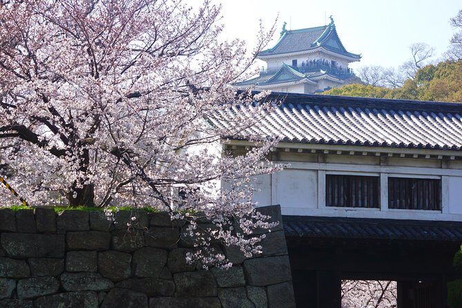 Wakayama Castle Town Walking Tour - Frequently Asked Questions