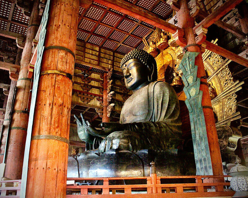 Wakayama Castle x Kuroshio Market x Nara Deer Park x Todai-ji - Kuroshio Market: seafood, a tuna show and a short lunch window