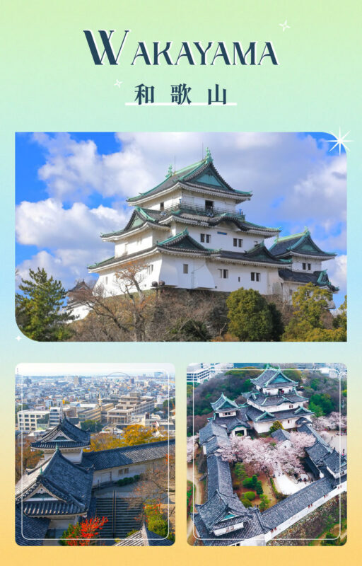 Wakayama Castle x Kuroshio Market x Nara Deer Park x Todai-ji - The long ride is the price of the broad itinerary