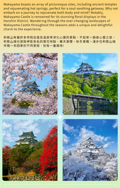 Wakayama Castle x Kuroshio Market x Nara Deer Park x Todai-ji - Is $58.45 good value?
