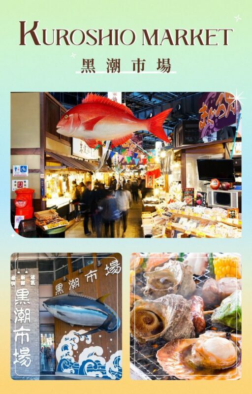 Wakayama Castle x Kuroshio Market x Nara Deer Park x Todai-ji - Who should choose this day trip?