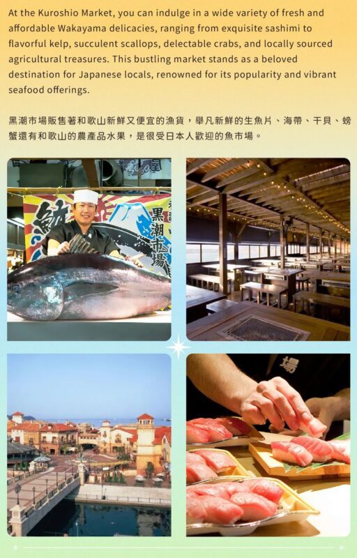Wakayama Castle x Kuroshio Market x Nara Deer Park x Todai-ji - Should you book it?