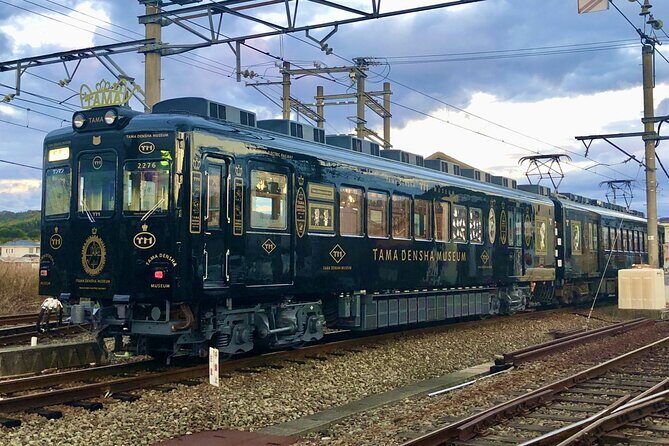 Wakayama: Cat Stationmaster Adventure on the Kishigawa Line - Who Should Consider This Tour?