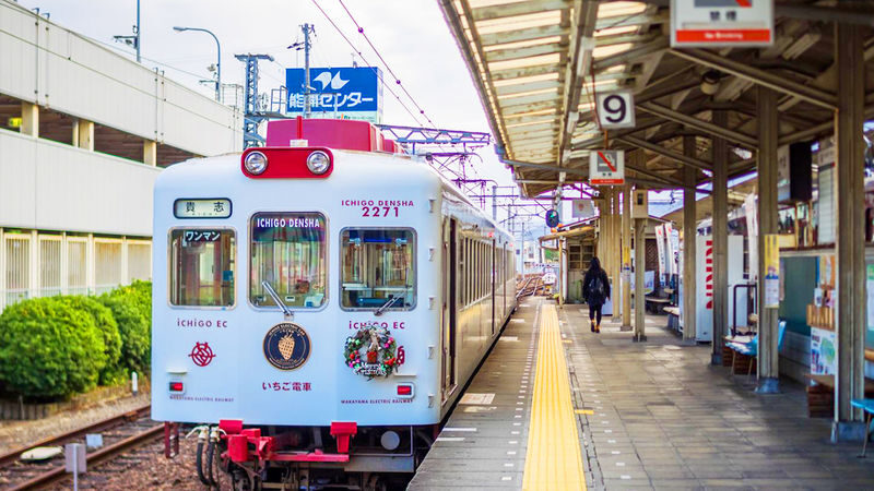 Wakayama Cat Stationmaster Kishi Station Train Experience & Kuroshio Market & Rinku Premium Outlets or Transfer to Kansai Airport - From Osaka to Wakayama by road