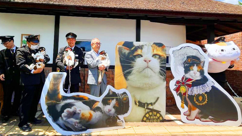 Wakayama Cat Stationmaster Kishi Station Train Experience & Kuroshio Market & Rinku Premium Outlets or Transfer to Kansai Airport - What the starting price covers