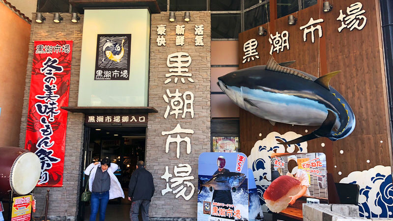 Wakayama Cat Stationmaster Kishi Station Train Experience & Kuroshio Market & Rinku Premium Outlets or Transfer to Kansai Airport - Is this Wakayama day trip right for you?