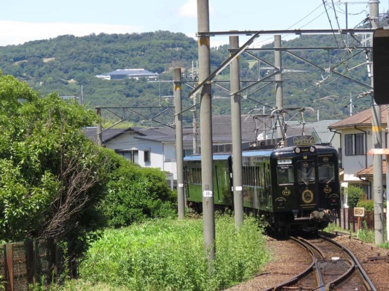 Wakayama: Cat Stationmasters and Local Myths, Train Tour - Key Points