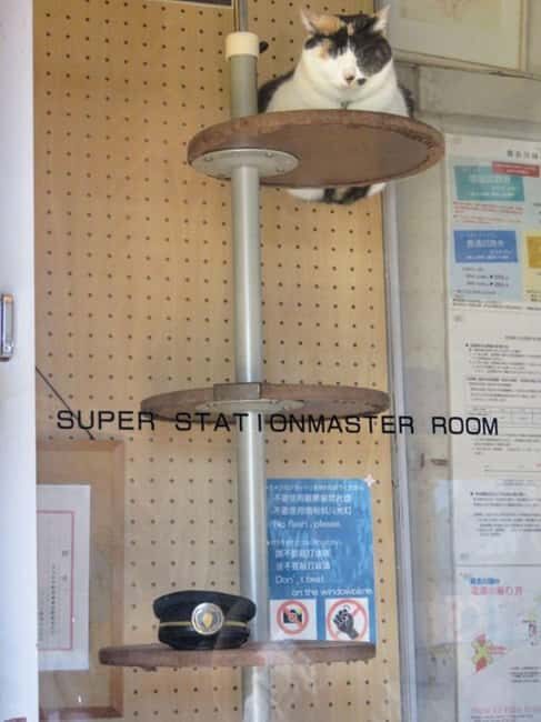 Wakayama: Cat Stationmasters and Local Myths, Train Tour - The Kishigawa Line: A Park of Playful Trains