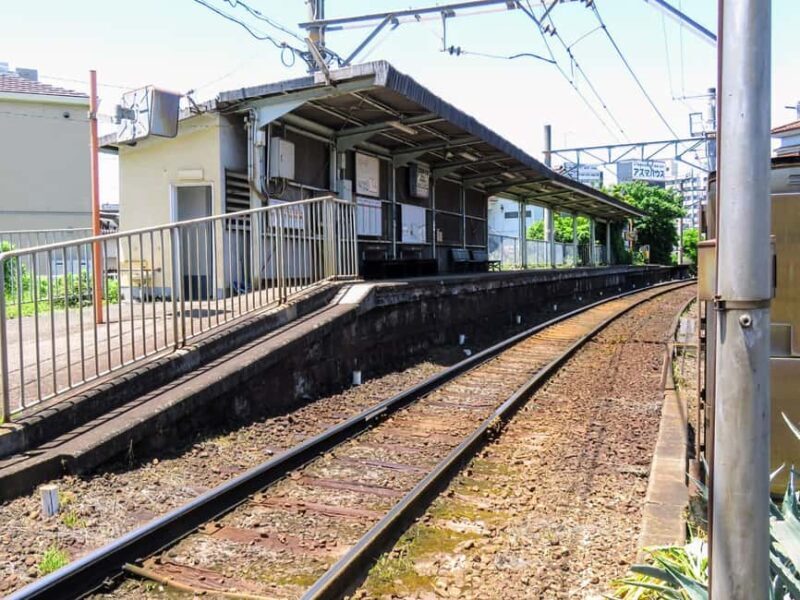 Wakayama: Cat Stationmasters and Local Myths, Train Tour - Scenic Views and Community Atmosphere