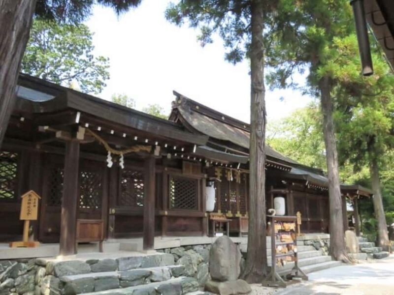 Wakayama: Cat Stationmasters and Local Myths, Train Tour - Who Is This Tour Best For?