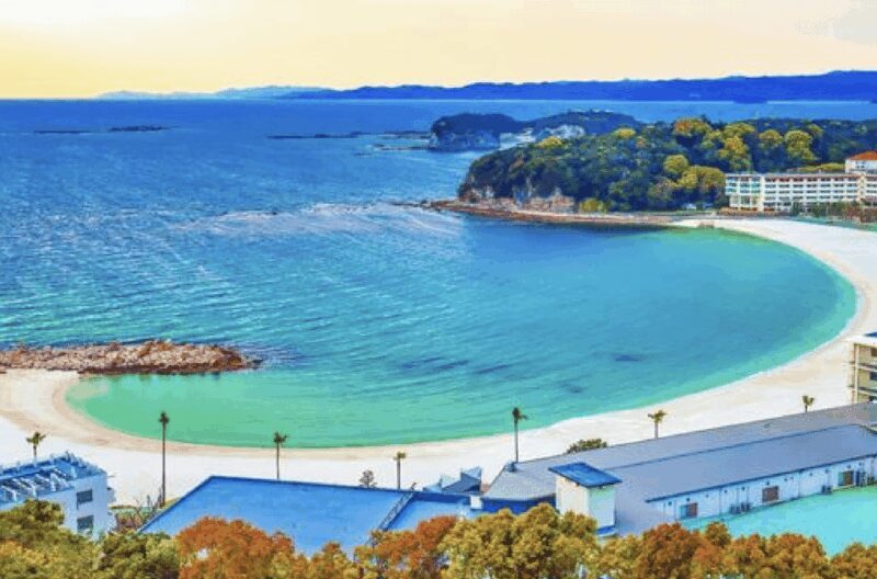 Wakayama: Customizable Private Day Tour - A Deep Dive into Wakayama: What to Expect on Your Private Tour