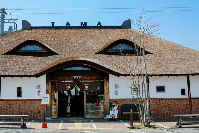 Wakayama Cute Cat and Outlet Shopping Day Tour - Authenticity and Authentic Experiences