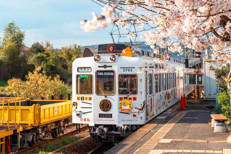 Wakayama Day Trip: Cat Stationmaster Kishi Station Train Experience, Tuna Cutting Show, Shirahama Onsen, Senjojiki Sandanbeki (Round trip from Osaka) - A cat-themed train sets the tone at Kishi Station