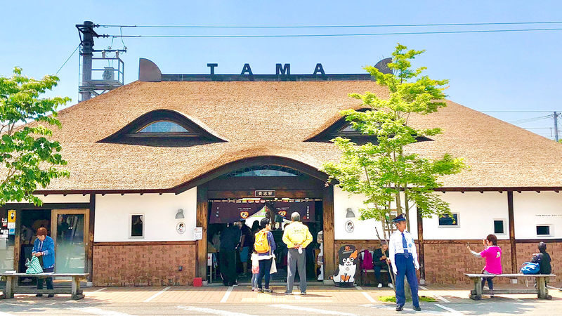 Wakayama Day Trip: Cat Stationmaster Kishi Station Train Experience, Tuna Cutting Show, Shirahama Onsen, Senjojiki Sandanbeki (Round trip from Osaka) - What the Osaka coach saves, and what it costs you