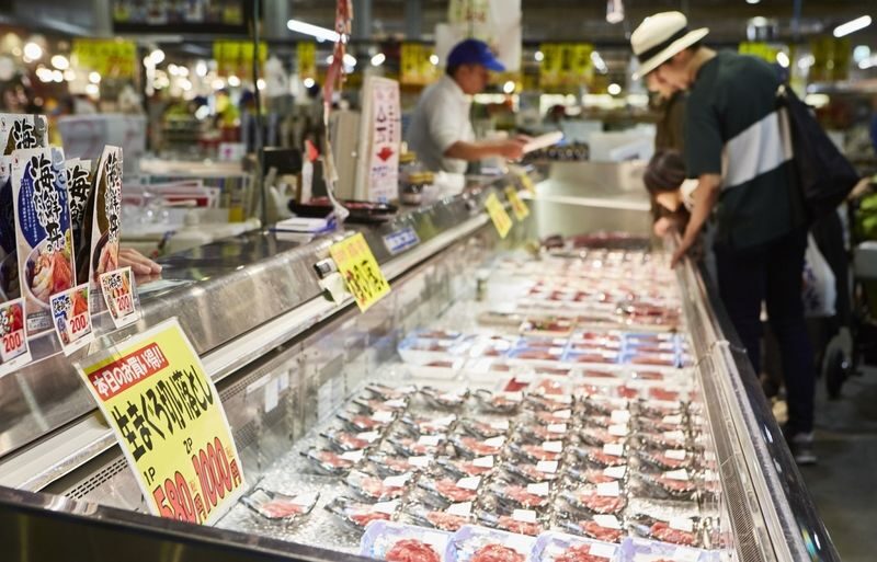 Wakayama Day Trip: Cat Stationmaster Kishi Station Train Experience, Tuna Cutting Show, Shirahama Onsen, Senjojiki Sandanbeki (Round trip from Osaka) - Should you book this Wakayama day trip?