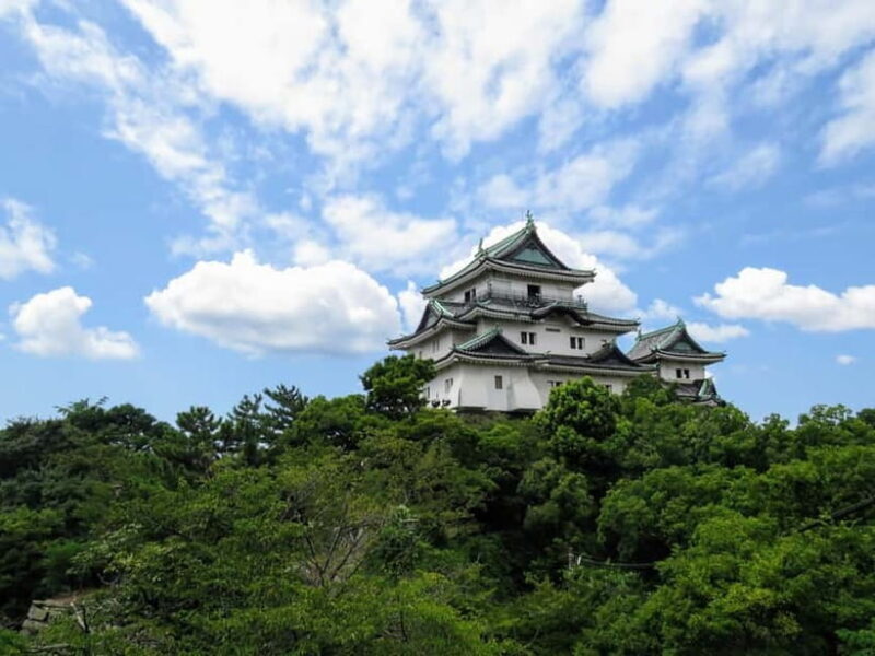 Wakayama: Historical Costume Rental and Castle Tour - Wakayama: Historical Costume Rental and Castle Tour