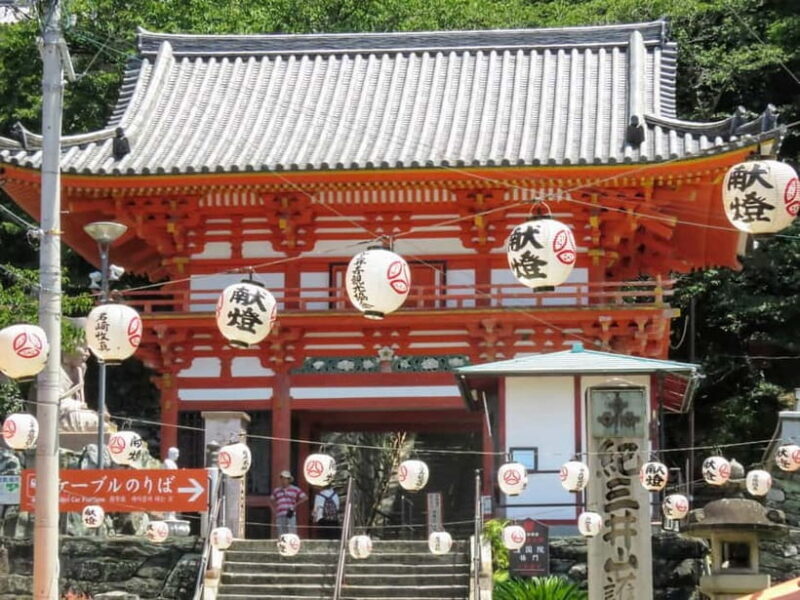 Wakayama: Instax Camera Photo Tour in Wakaura Area - Value and Overall Impression