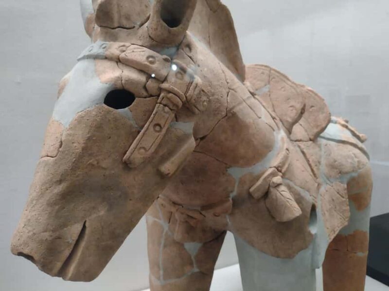 Wakayama: Iwase-Senzuka Ancient Tomb Cluster Tour - Exploring the Iwase-Senzuka Tomb Cluster: What to Expect