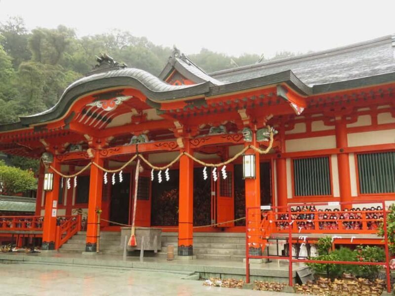 Wakayama: Kada Cycling Tour with Medetai Train Ride - Who Will Love This Tour?