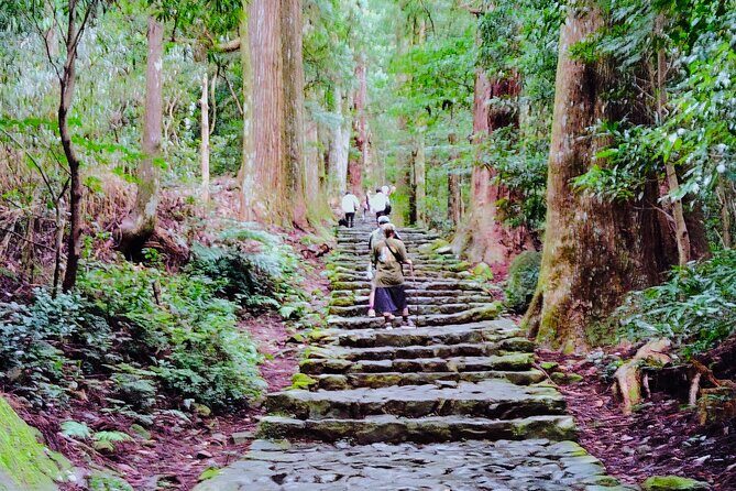 Wakayama: Kumano Kodo Sacred Walk to Nachi in Heian Attire - Who Will Love This Tour?