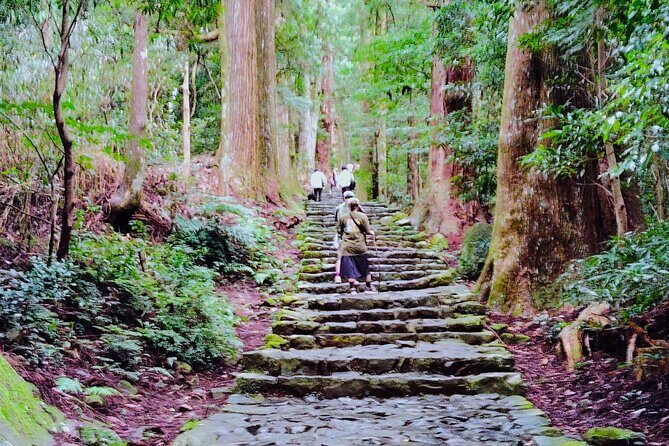 Wakayama: Kumano Kodo Sacred Walk to Nachis Sacred Sites - Wakayama: Kumano Kodo Sacred Walk to Nachis Sacred Sites – A Deep Dive