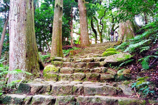 Wakayama: Kumano Kodo Sacred Walk to Nachis Sacred Sites - FAQ
