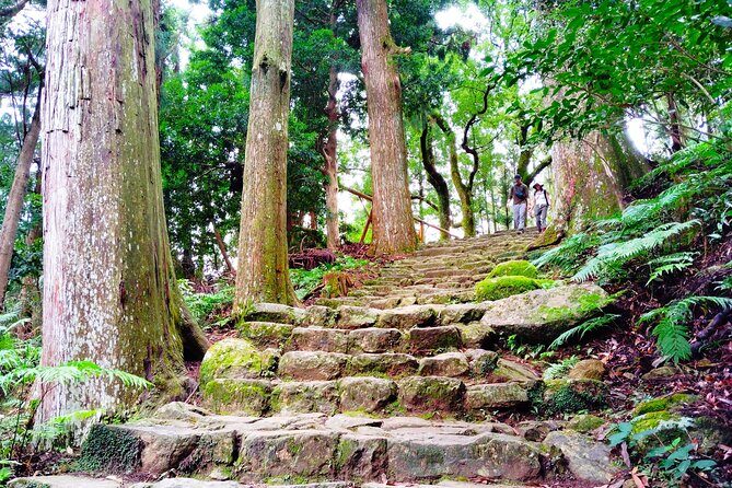 Wakayama: Kumano Nachi Taisha, Seiganto-ji & Waterfall Tour - Key Points
