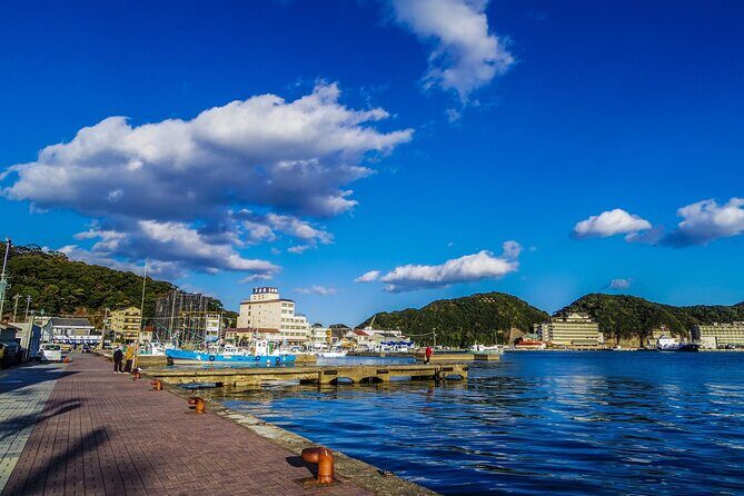 Wakayama: Learn & Taste Japan Tuna Culture in Nachikatsuura - Exploring the Tour: A Step-by-Step Look