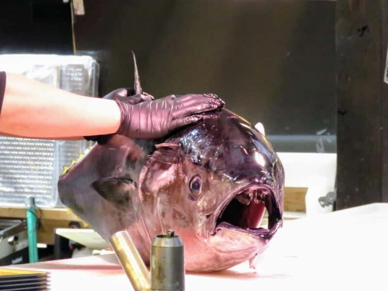 Wakayama: Marina City and Kuroe Area tour - Key Points