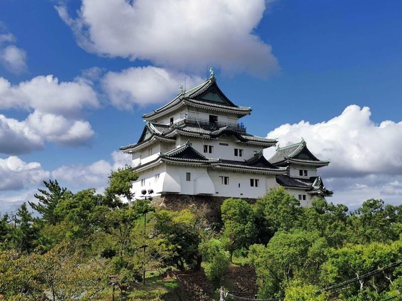 Wakayama: Mt. Koya & Nachi Falls Full-Day Private Tour - Two famous stops, one demanding day