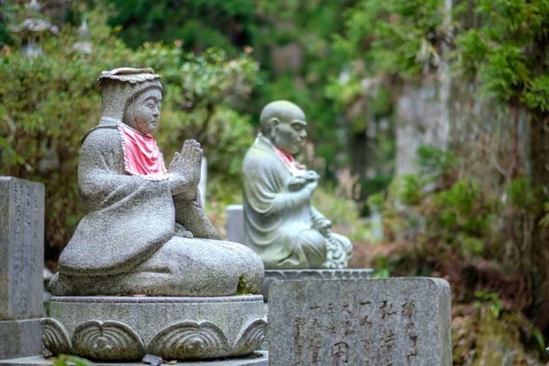 Wakayama: Mt. Koya & Nachi Falls Full-Day Private Tour - Nachi Falls: confirm the viewing plan