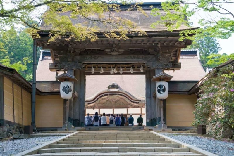 Wakayama: Mt. Koya & Nachi Falls Full-Day Private Tour - Temple lunch: a welcome pause, with details to check