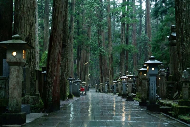 Wakayama: Mt. Koya & Nachi Falls Full-Day Private Tour - What private means for your day