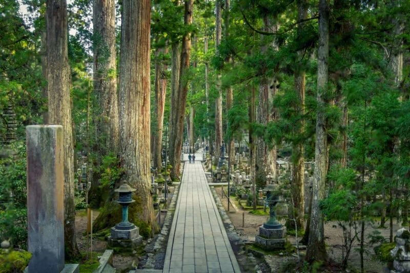 Wakayama: Mt. Koya & Nachi Falls Full-Day Private Tour - Is $1,099.29 good value?