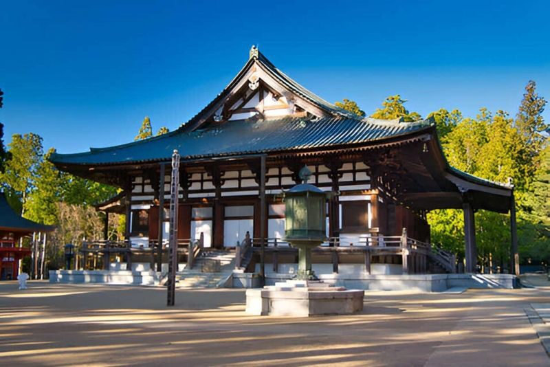 Wakayama: Mt. Koya & Nachi Falls Full-Day Private Tour - Who should book this Wakayama tour?