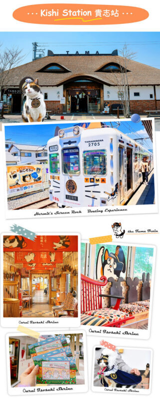 Wakayama/Shirahama: Kishi Station Cat Stationmaster Train Experience, Shirahama Senjojiki, and Sandanbeki Cliff One-Day Tour from Osaka - The value of a long day in a shared vehicle