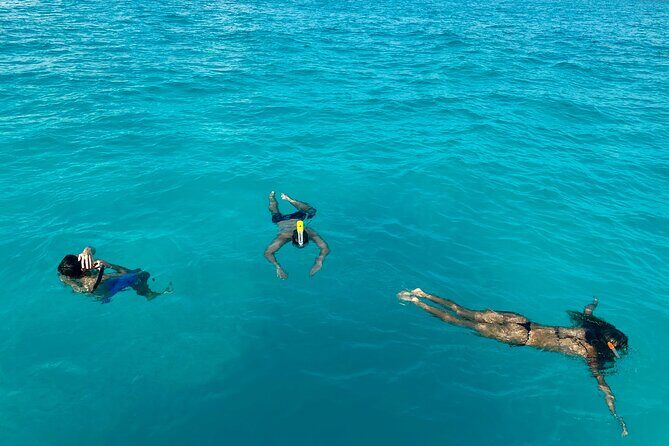 Wake Surfing Lessons & Snorkel Time in Crystal Blue Waters 6hr - Key Points