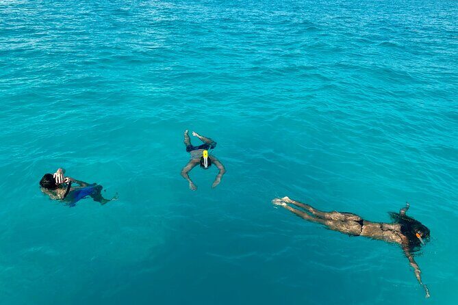 Wake Surfing Lessons & Snorkeling - #1 Experience in Cancun 4hr - Why This Tour Stands Out