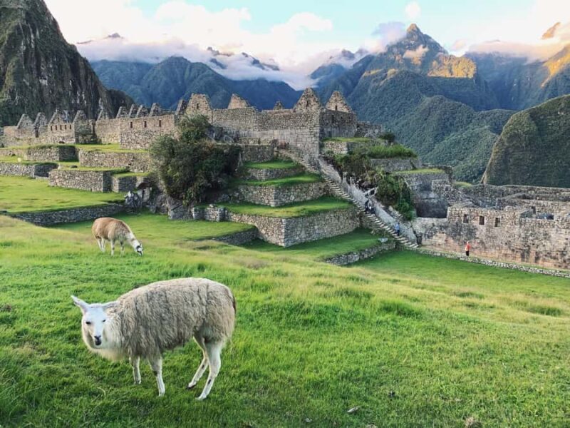 Wake up in the Inca Empire by Mountain View - Arrival in Cusco and Transfer to Hotel